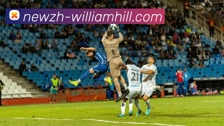 多媒体互动体验